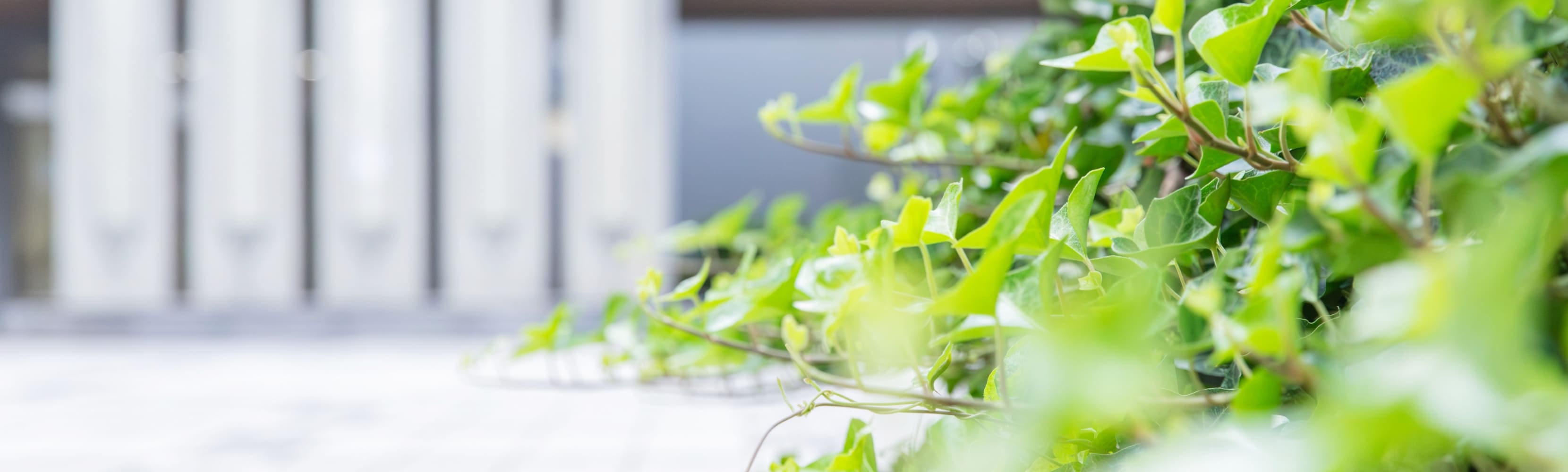 プライバシー・ポリシー